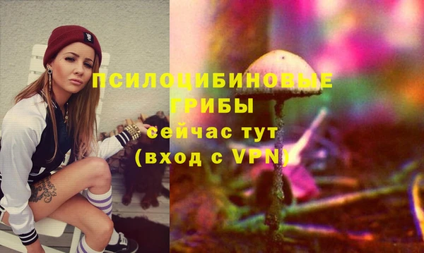 прущие грибы Ростов