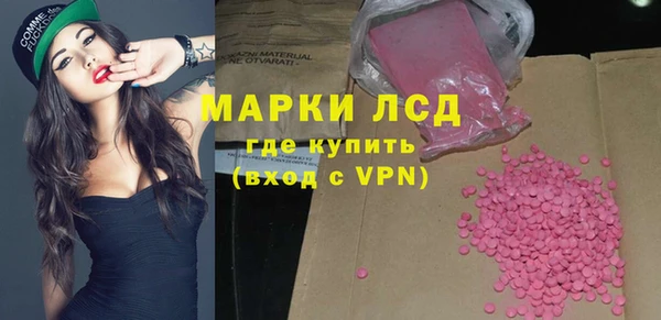 прущие грибы Ростов